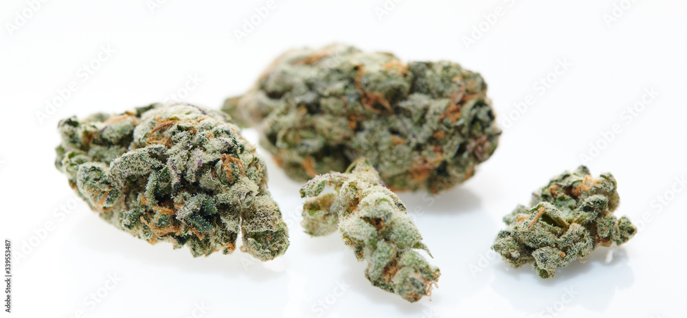 Alternative medicine four marijuana CBD buds on white background Alternative medicine four marijuana CBD buds on white background