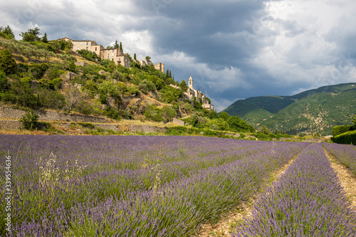 Montbrun-les-Bains, labellisé Les Plus Beaux Villages de France, le village et un champ de lavandes, parc naturel régional des Baronnies provençales 