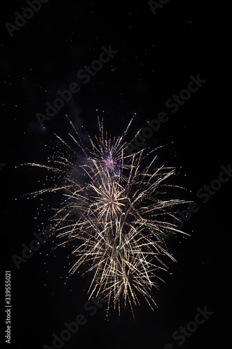 Wallpaper Mural paysage dans la nuit feux d'artifice Gradignan 14 juillet Torontodigital.ca