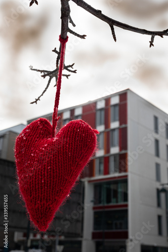 Knittet heart in trees by St. Olavs hospital during Covid- 19. 