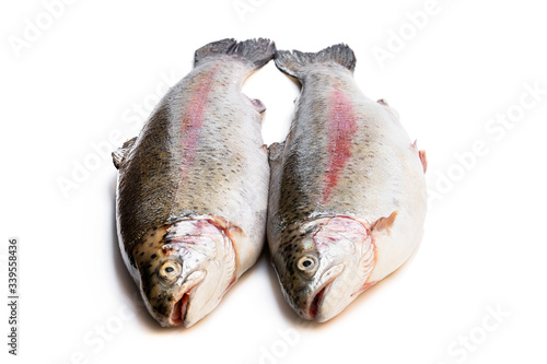 Fresh raw rainbow trout fish isolated on white