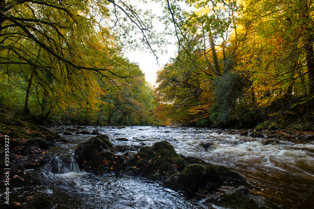 The River Dart In Autumn