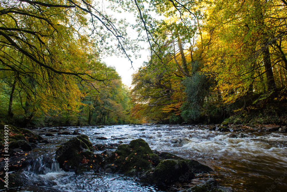 The River Dart In Autumn The River Dart In Autumn
