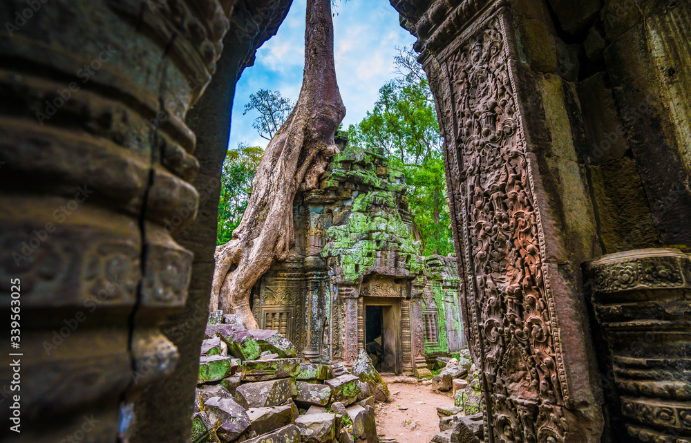 Fototapeta premium Entrance to the world famous heritage in Angkor Wat - Ta Prohm