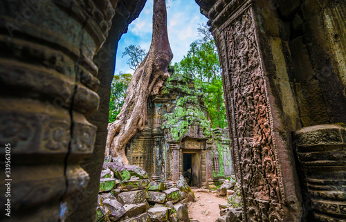 Entrance to the world famous heritage in Angkor Wat - Ta Prohm photo
