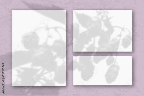 Several horizontal and vertical sheets of white textured paper against a pastel lilac wall. Mockup overlay with the plant shadows. Natural light casts shadows from the tops of field plants and flowers