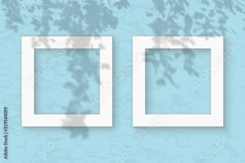 The 2 square frames on a pastel gray wall background. Mockup overlay with the plant shadows. Natural light casts shadows from the tree's foliage. Flat lay, top view