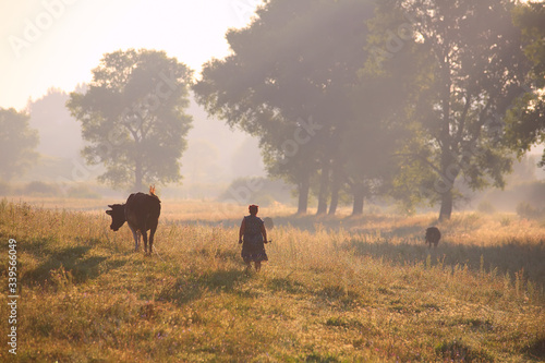 daily life of people in the village. traditions of rural residents.