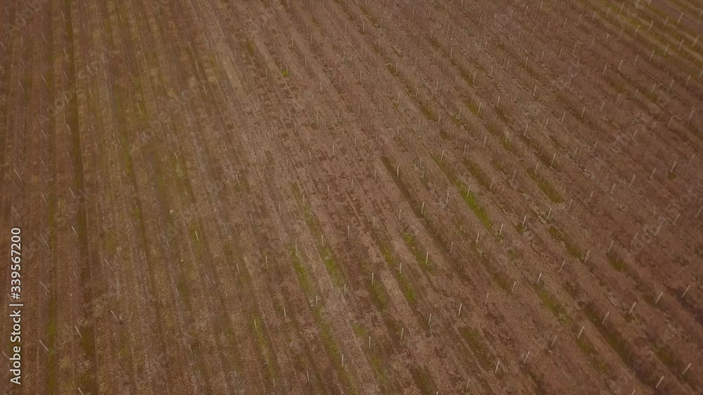 Aerial photography of the apple orchard. Achieved apples on apple trees. Great apple garden. 4K.RAW. Top down aerial view of fruit orchards organised in rows. Aerial photography of the apple orchard. Achieved apples on apple trees. Great apple garden. 4K.RAW. Top down aerial view of fruit orchards organised in rows.