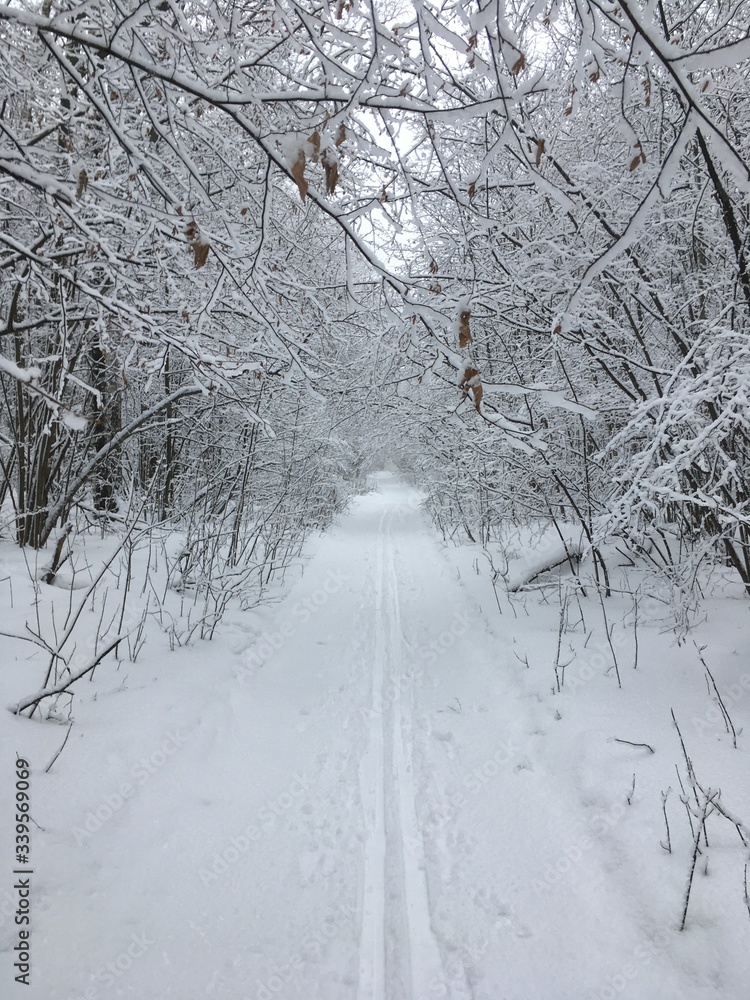 Obraz premium snow covered road
