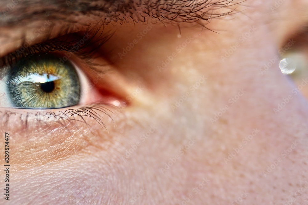 Fototapeta premium close up of eye