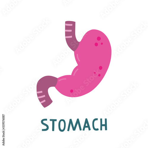 Vector isolated illustration of stomach   with hand lettering.  Medical poster. Cute flat illustration of human internal organs.