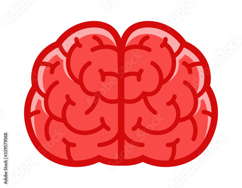 Human brain front view. Vector illustration in cartoon style.