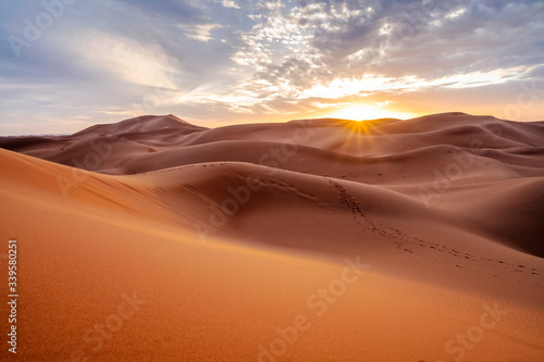 Beautiful sunset over sand dunes of Sahara Desert  Africa