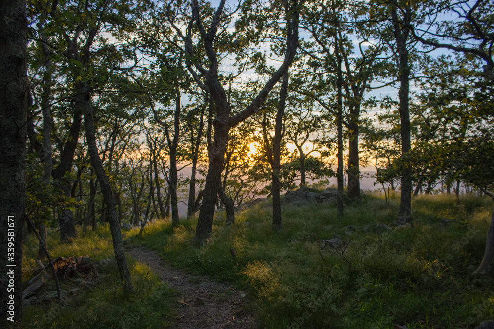 sunset through trees at Shenandoah valley sunset through trees at Shenandoah valley