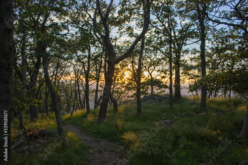 sunset through trees at Shenandoah valley