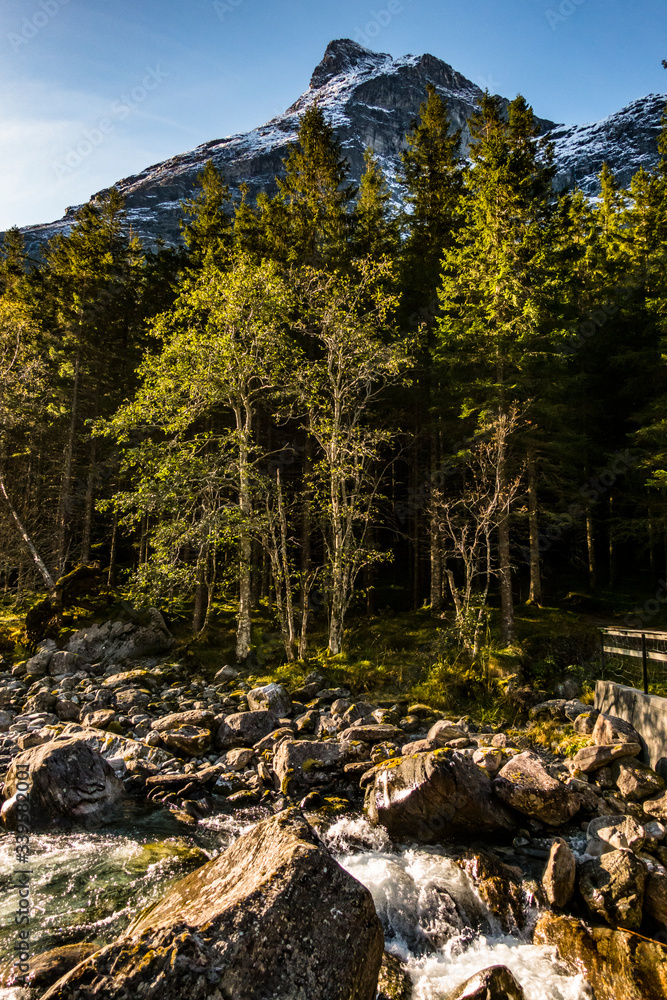 Stunning view of the river surrounded by forest in the background of majestic mountains Stunning view of the river surrounded by forest in the background of majestic mountains