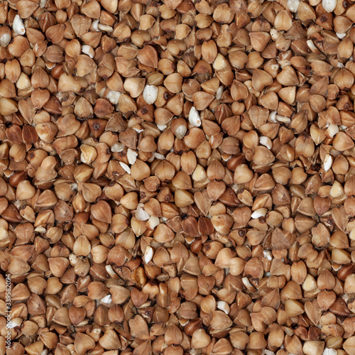 Buckwheat grain seamless macro texture