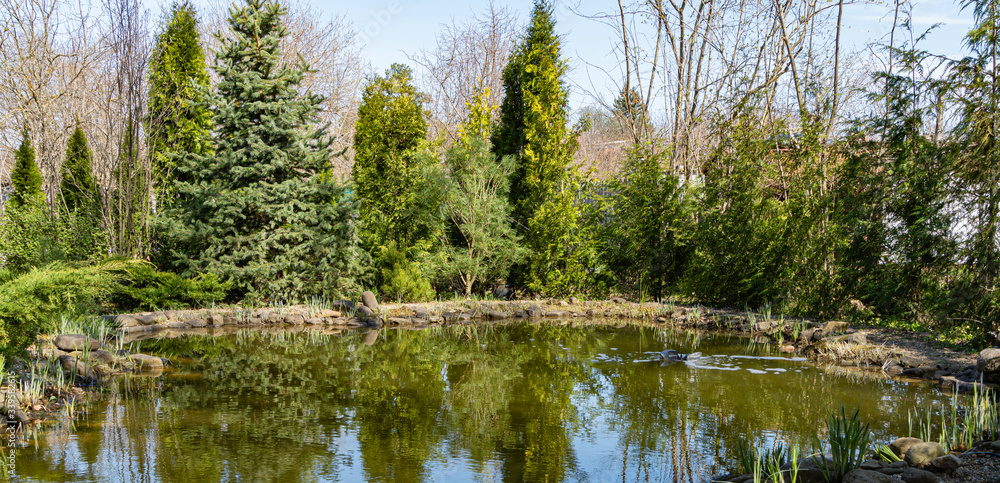 Beautiful garden pond with stone shores against backdrop of evergreens. Spring landscaped garden with pond. Nature spring concept design. Place for your text. Beautiful garden pond with stone shores against backdrop of evergreens. Spring landscaped garden with pond. Nature spring concept design. Place for your text.