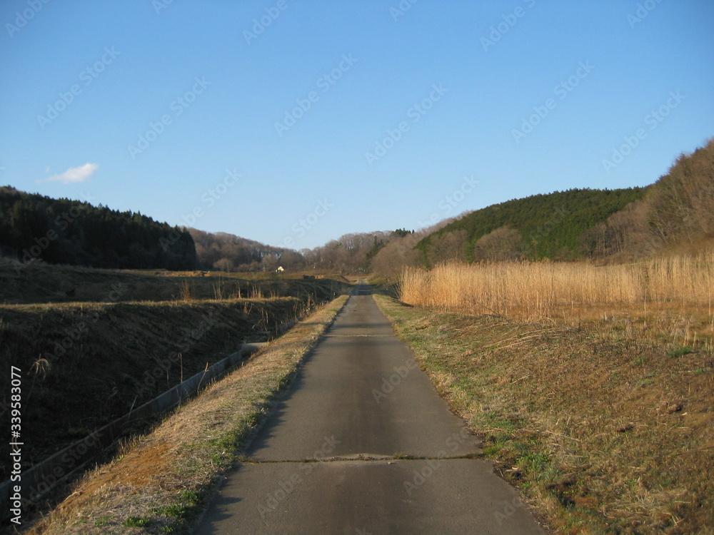 あぜ道 あぜ道