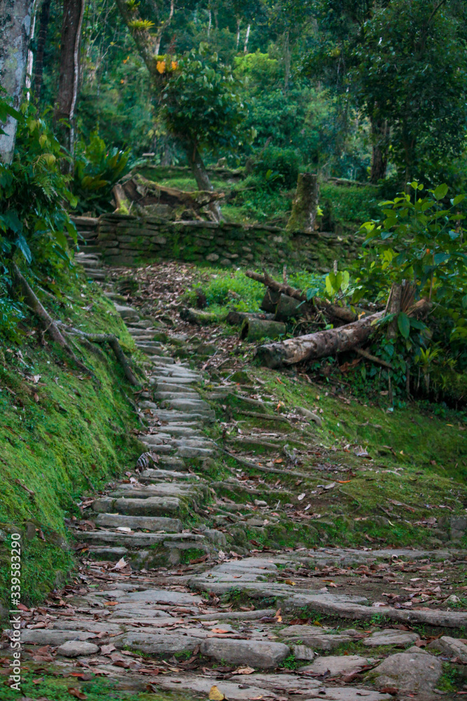 Stairs leading to a terrace in lost city (indigenous name Teyuna), Sierra Nevada de Santa Marta, Magdalena, Colombia. Stairs leading to a terrace in lost city (indigenous name Teyuna), Sierra Nevada de Santa Marta, Magdalena, Colombia.