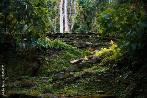 small terrace is among the green shades of the jungle in lost city (indigenous name Teyuna), Sierra Nevada de Santa Marta, Magdalena, Colombia. photo
