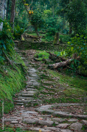 Stairs leading to a terrace in lost city (indigenous name Teyuna), Sierra Nevada de Santa Marta, Magdalena, Colombia.