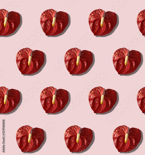 Seamless pattern with anthurium Flower. Pink background. Sketch textile, background, wrapping paper design, packaging.