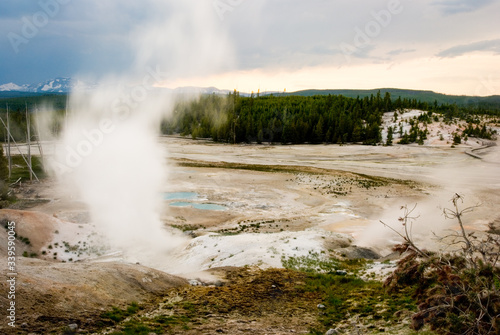 Hot springs steaming over the valley of the Norris Geyser Basin in Yellowstone National Park