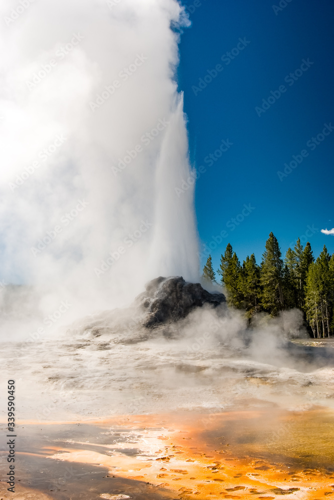 Castle Geyser Erupting in Yellowstone National Park's Upper Geyser Basin