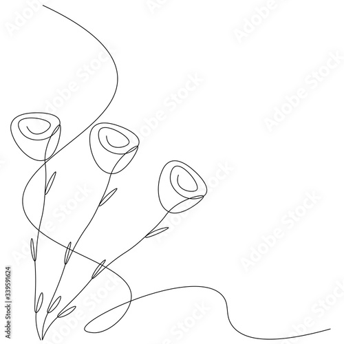 Roses flowers background, vector illustration