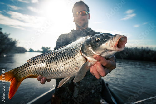 Fototapeta Naklejka Na Ścianę i Meble -  Happy fisherman holds trophy Carp fish with lake on the background