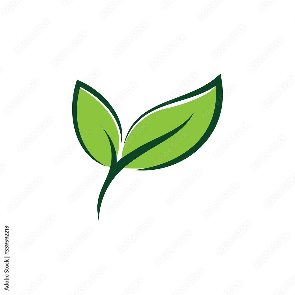 Green leaf logo vector design template Green leaf logo vector design template