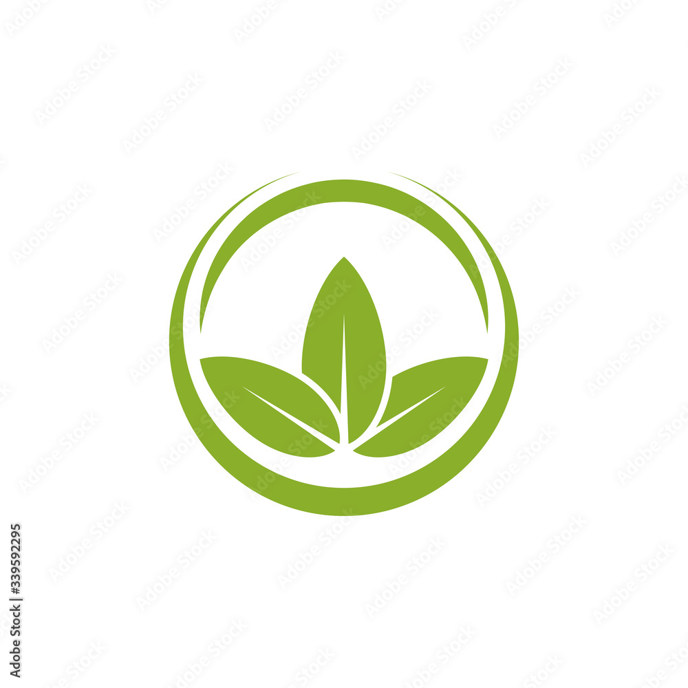 Green leaf logo vector design template Green leaf logo vector design template