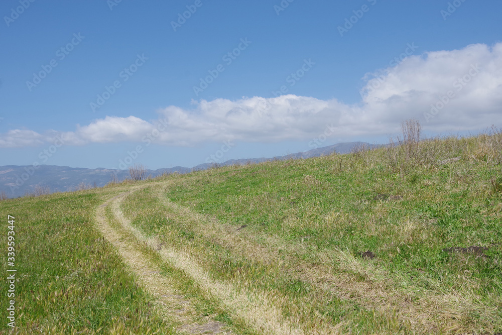 Panoramic view of a highland meadow under blue sky with some white clouds and a mountain ridge in the distant background on a spring day