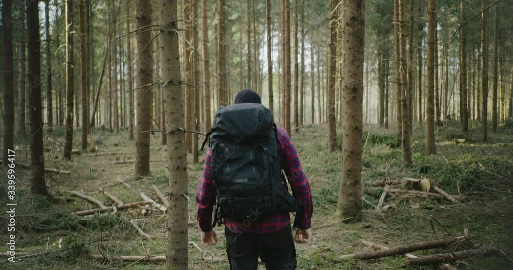 Man walks in the forest, with a backpack. Back View of Walking Person. Adventure Trip in Natural Landscape Man walks in the forest, with a backpack. Back View of Walking Person. Adventure Trip in Natural Landscape
