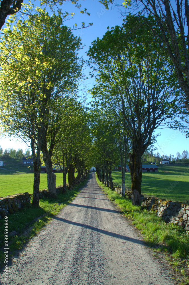 Alley road at late spring, almost summer, gravelled road and stone walls. 