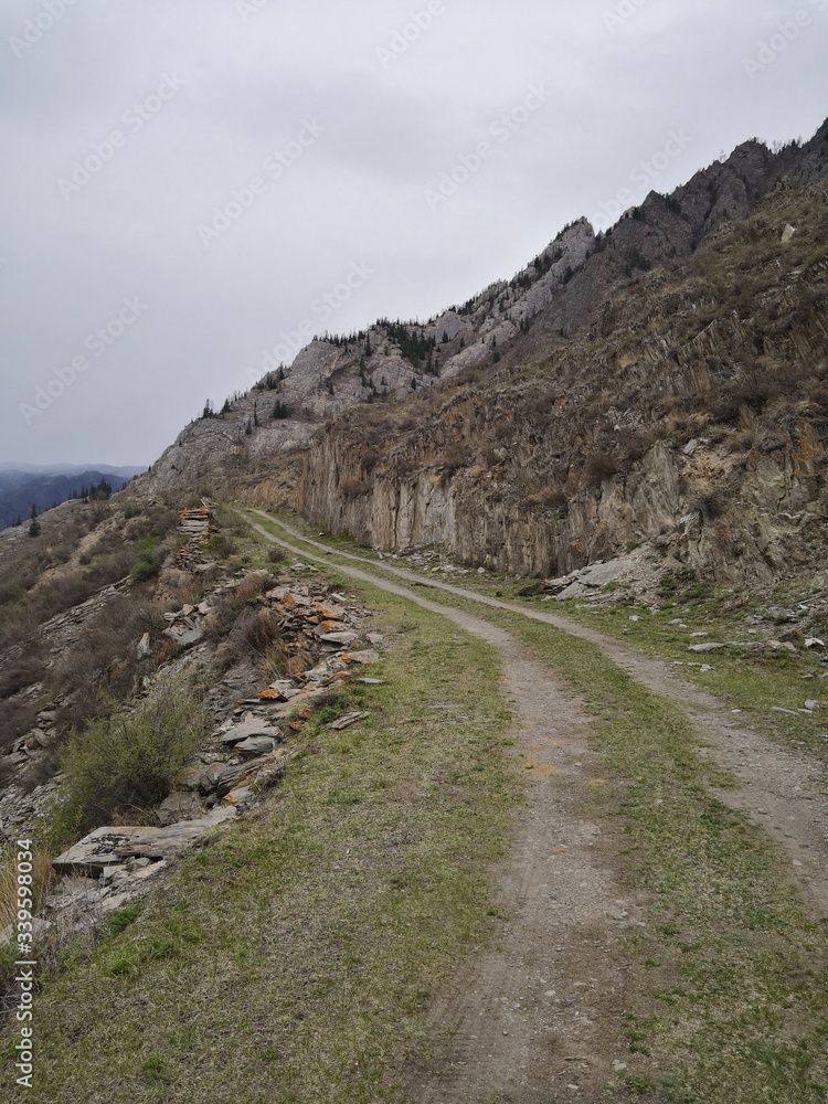 Winding grassy road in the Mountain with stones