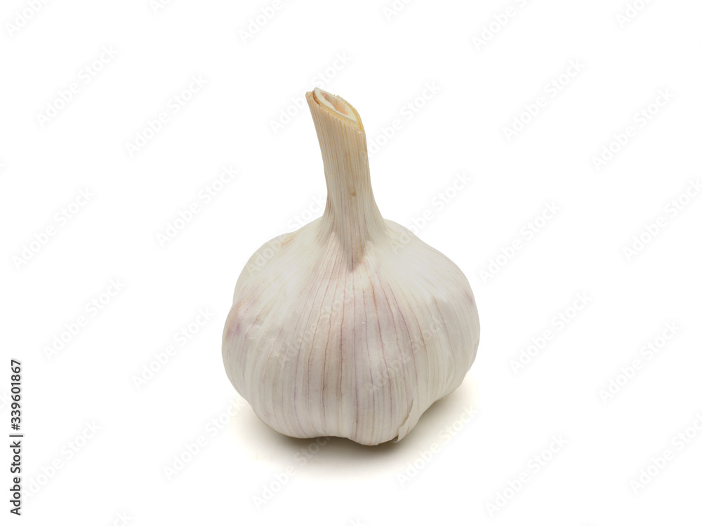 Fresh garlic, close-up. Isolated on a white background with a shadow.