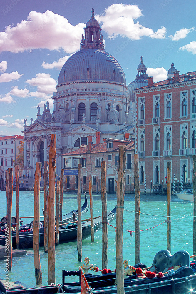 Several parked gondolas on Canal Grande with Basilica di Santa Maria della Salute in the background, Venice, Italy