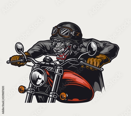 Aggressive animal biker vintage colorful concept