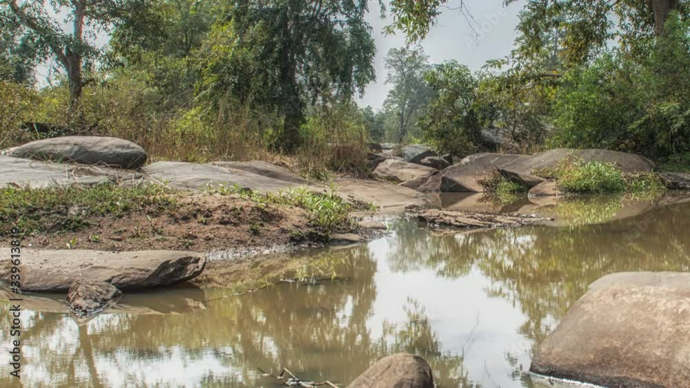 Landscape with a river and forest trees, Kanha National Park, India Landscape with a river and forest trees, Kanha National Park, India