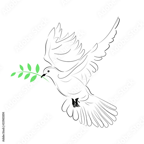 vector illustraion, dove with green branch