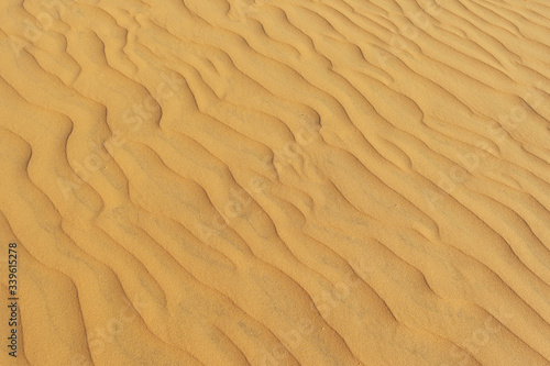 yellow sand of the desert. Sand texture wave