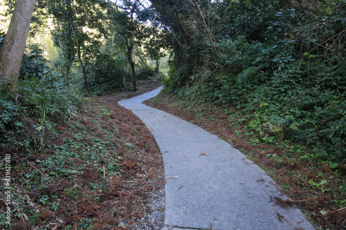 鹿児島県南大隅町　雄川の滝下流展望台への遊歩道 photo