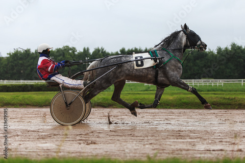 race horses jockey river horse racing racetrack run by two, sports with horses