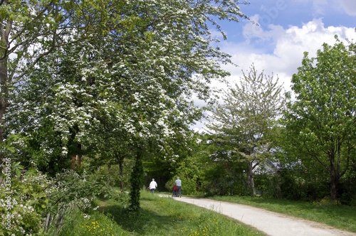 Obraz na płótnie Parc du Landry à Rennes w salonie