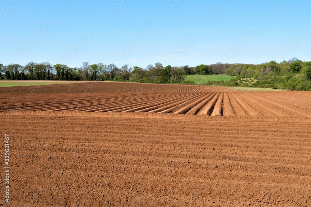 Patterns and contours from ploughed potatoe planting rows, in Sprotbrough, Doncaster, South Yorkshire, England.