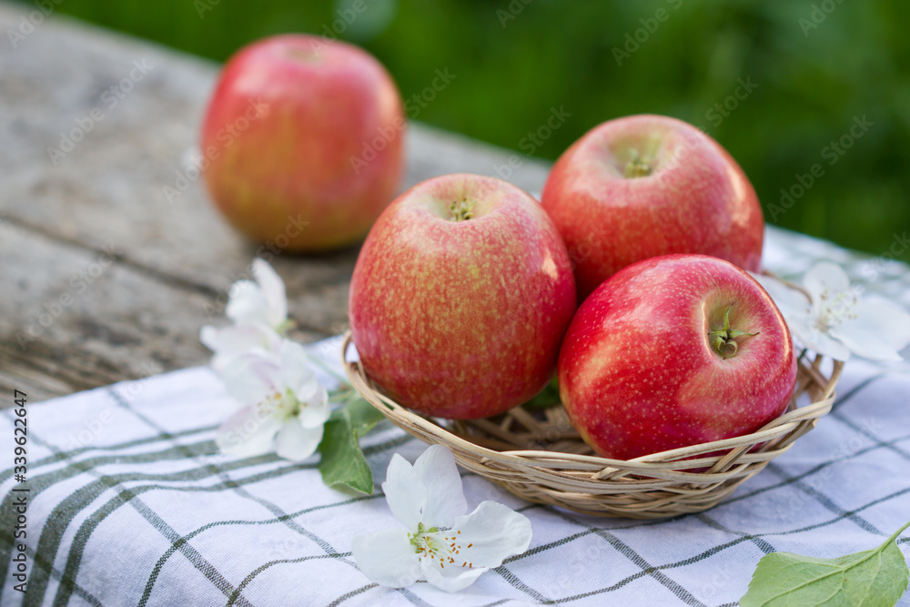 red apples in a wicker basket, fresh Apple flowers in the garden, close-up. red apples in a wicker basket, fresh Apple flowers in the garden, close-up.