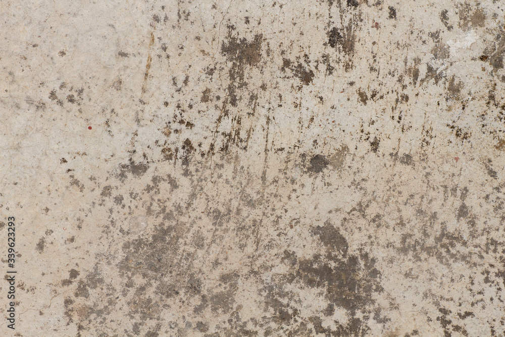 custom made wallpaper toronto digitalOld wall